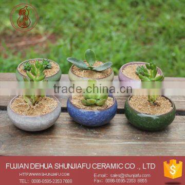 Round Shape Color Mini Succulent Plant Pots Bulk Wholesale