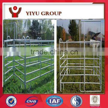 steel dairy cattle yard / sheep livestock