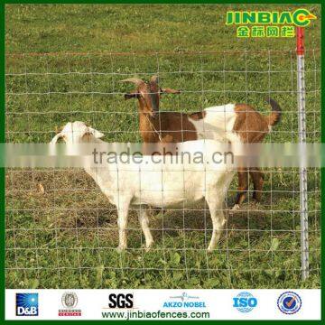 sheep fence/goat fence/cattle fence