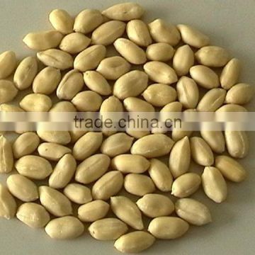 blanched round type groundnut peanuts