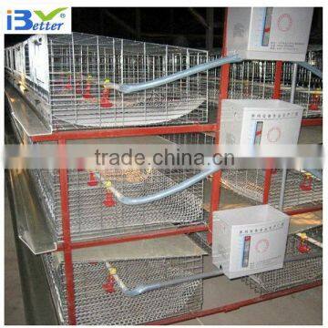 2013 hot-sell H chicken cage for sale