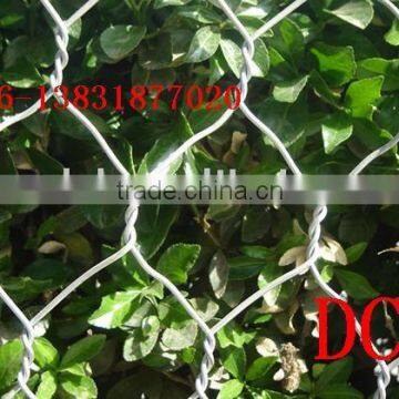 chicken wire netting,iron wire cloth