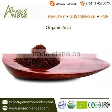 Best Quality Acai Berry Powder Brazil Supplier Price