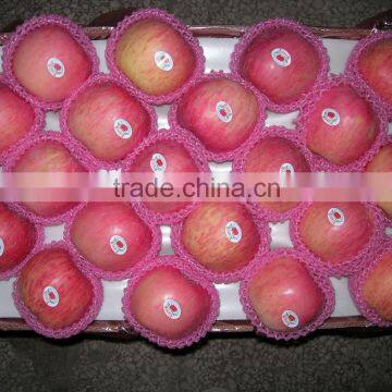 2015 new crop chinese fresh Fuji Apple from Best Food