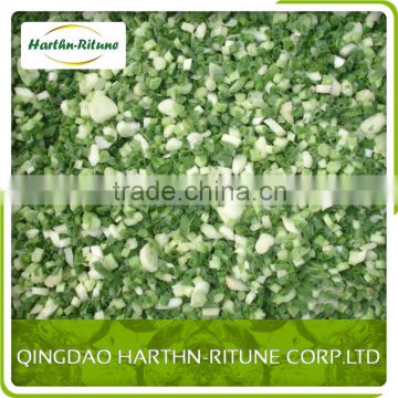 Frozen IQF spring onion Pieces/frozen onion