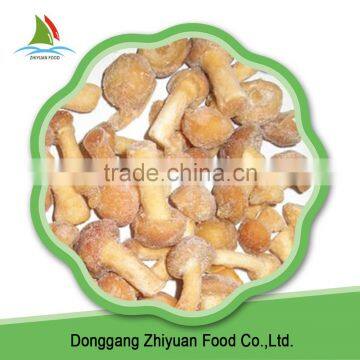 Top High Quality Frozen Nameko Crop 2016