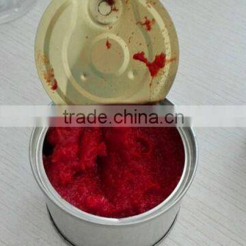 great seasoner,delicious china Tomato Paste