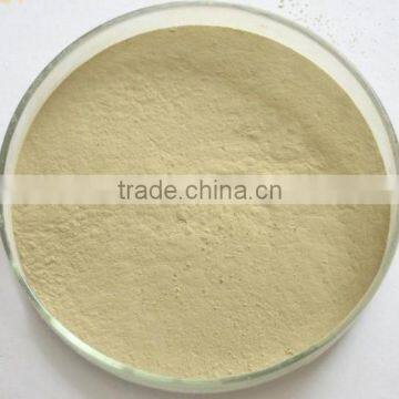 100% Natural Citrus Hesperidin photo-4