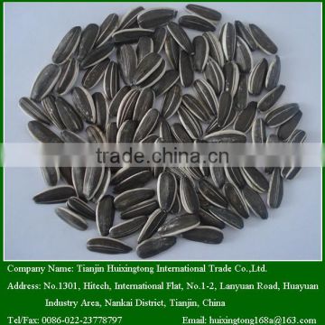 2015 Chinese Sunflower Seeds For Snack