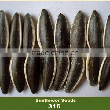 Chinese Sunflower Seed 316