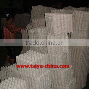 stock paper pulp egg tray manurefacture