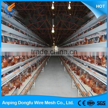 Alibaba china supplier poultry shed chicken layer cage for sale