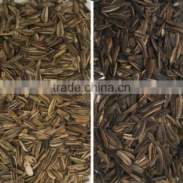 CCD Camera Grain / Sunflower CCD Camera Color Sorter photo-3