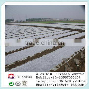 China Agricultural PP Non-woven Fabric photo-3