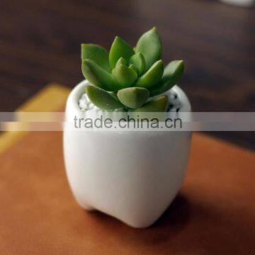 Zakka Indoor Mini Tooth-shaped Ceramic White Flower Pot for Succulents photo-2