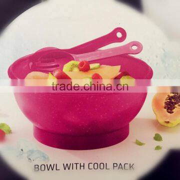 Food grade plastic bowl with cool pack