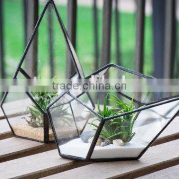 Small Geometric Succulent Teardrop Terrarium