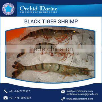Optimum Quality Black Tiger Shrimps Available in Hygienically Packs