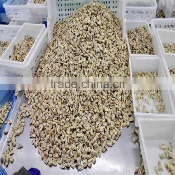 Frozen Vacuumed Baby Clam Cheap Pirce For Sale photo-2