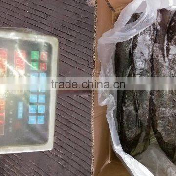 Land Frozen Grey Mullet Whole Round With Size 1500-2000g photo-5