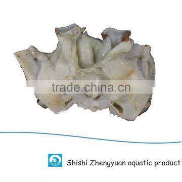 Frozen Giant Peru Fillet Squid Neck Size 500+ on Sale