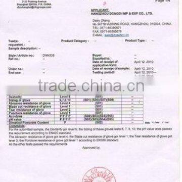 CTC TEST REPORT-DNN338