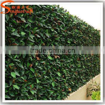 Guangzhou Songtao Supplier Artificial Green Wall Fake Plastic Green Wall photo-4