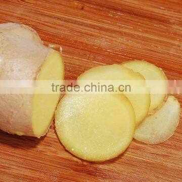 Young Ginger From China photo-4