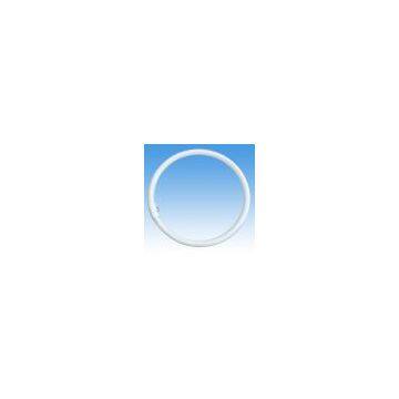 Circular Fluorescent Tube