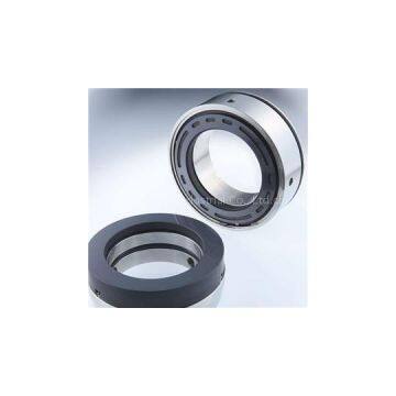 Enactus-EM300 Burgmann EM300 Replacement