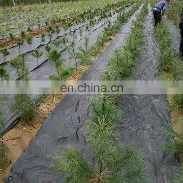 High Quality Polyethylene Garden Weed Control Planting Mat photo-4