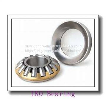 IKO Bearing