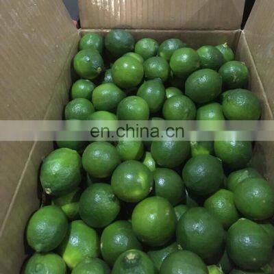 Fresh  Lime/ Seedless Lime