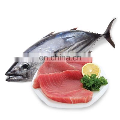 skipjack tuna fish frozen skipjack tuna price Katsuwonus Pelamis