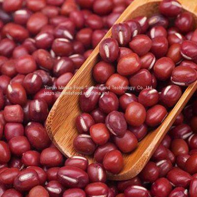 Ormosia/Red Beans