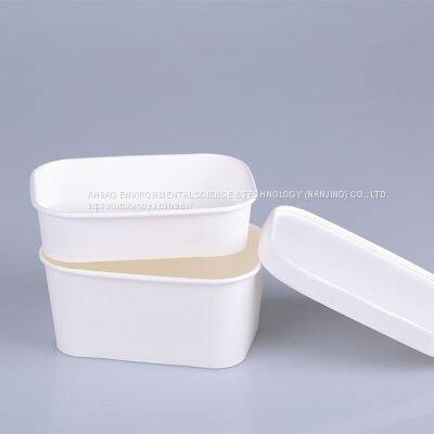 Eco Friendly Take Away Rectangular Bowl