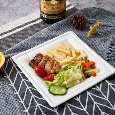 10”Hot Selling Party Restaurant Eco-Friendly Disposable Biodegradable Plates Sugarcane Bagasse Square Plates(500/ Case) photo-3