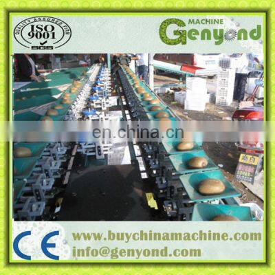 Big Out Onion Sorting Machine photo-2