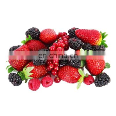 complete Concentration strawberry paste making machines