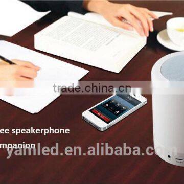 Decorative Lamp Study Lamp Induction Lamp