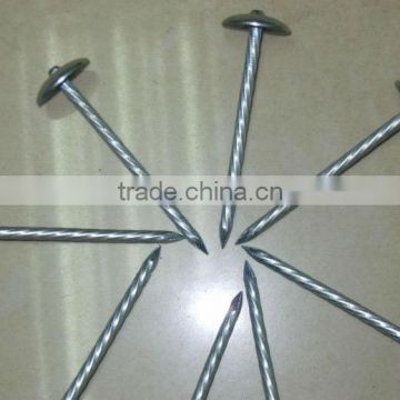 Q195 umbrella head twist shank roofing nails