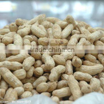 good quality peanut kernels 40/50