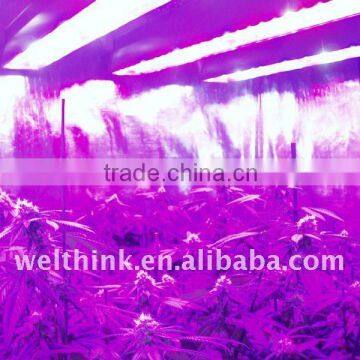 3w diode High efficiency LED grow light