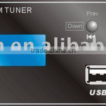 portable amplifier usb fm tuner