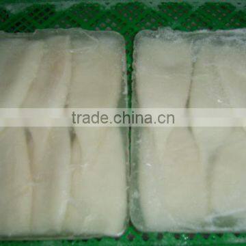 Illex Squid Tube photo-4