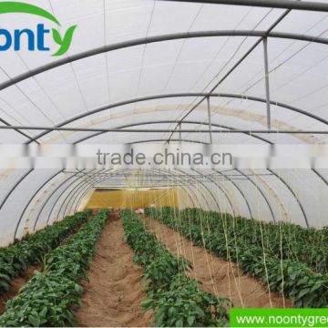 Growing Vegetables,NOONTY