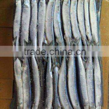 Good Quality Hot Sale Pacific Saury # 4 from China