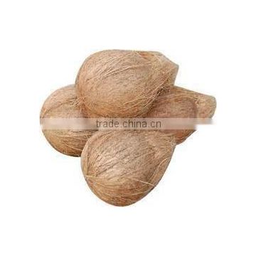 Premium Quality Natural Coconut