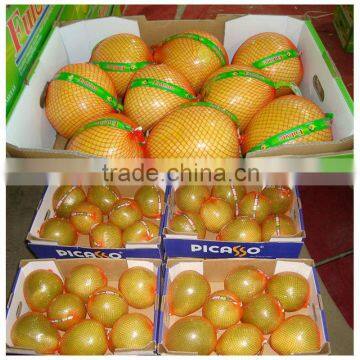 Chinese Fresh Honey Pomelo Citrus Fruits With Wholesales Price photo-2