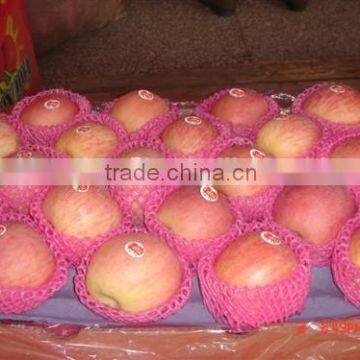 Yantai Fresh fruit red fuji apple best price exporter in china